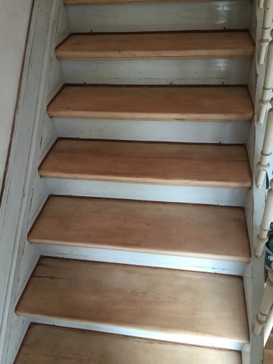 Treppe mit Ochenblut gestrichen. Nach dem Schleifen