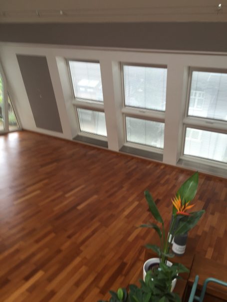 Heller Raum mit Holzfußboden, großen Fenstern und einer Pflanze in einem Topf.